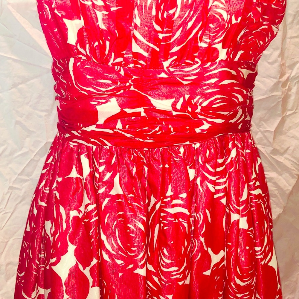Size 6 Anna Sui Red Flower dress